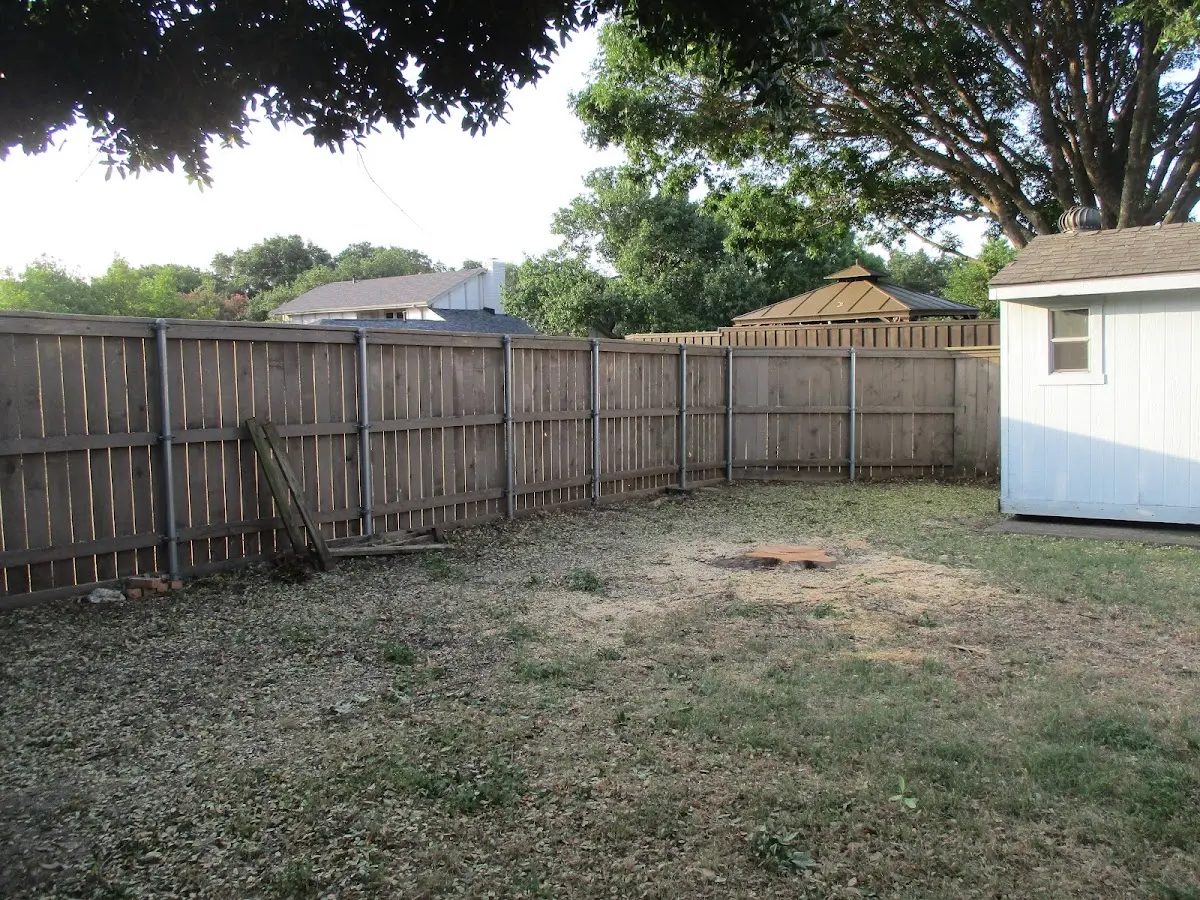 Cleared yard after professional tree removal in Maywood